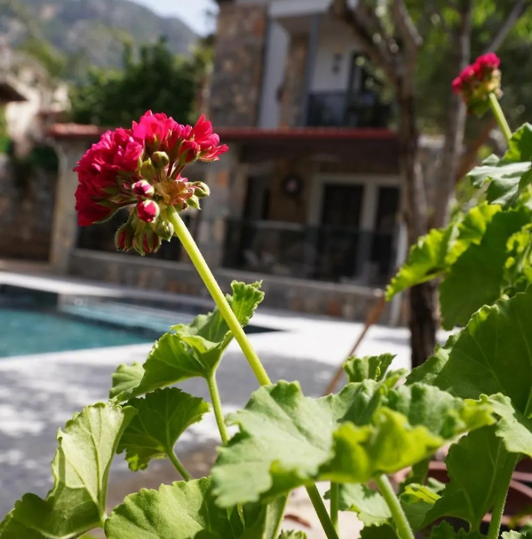 Villa Valencia By Luxury Group, Oeluedeniz, Private Pool Cedit
