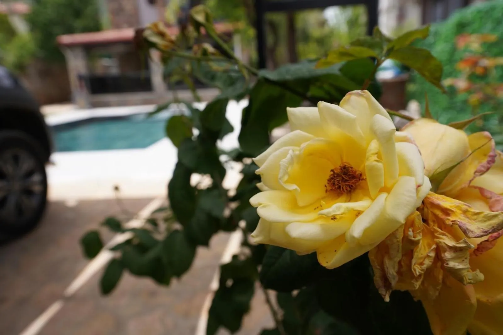 Villa Valencia By Luxury Group, Oeluedeniz, Private Pool Cedit Turquia